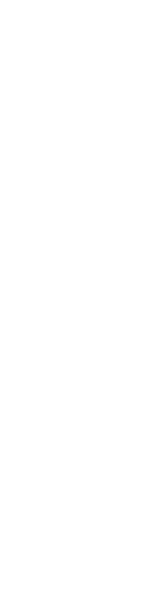Shape Image